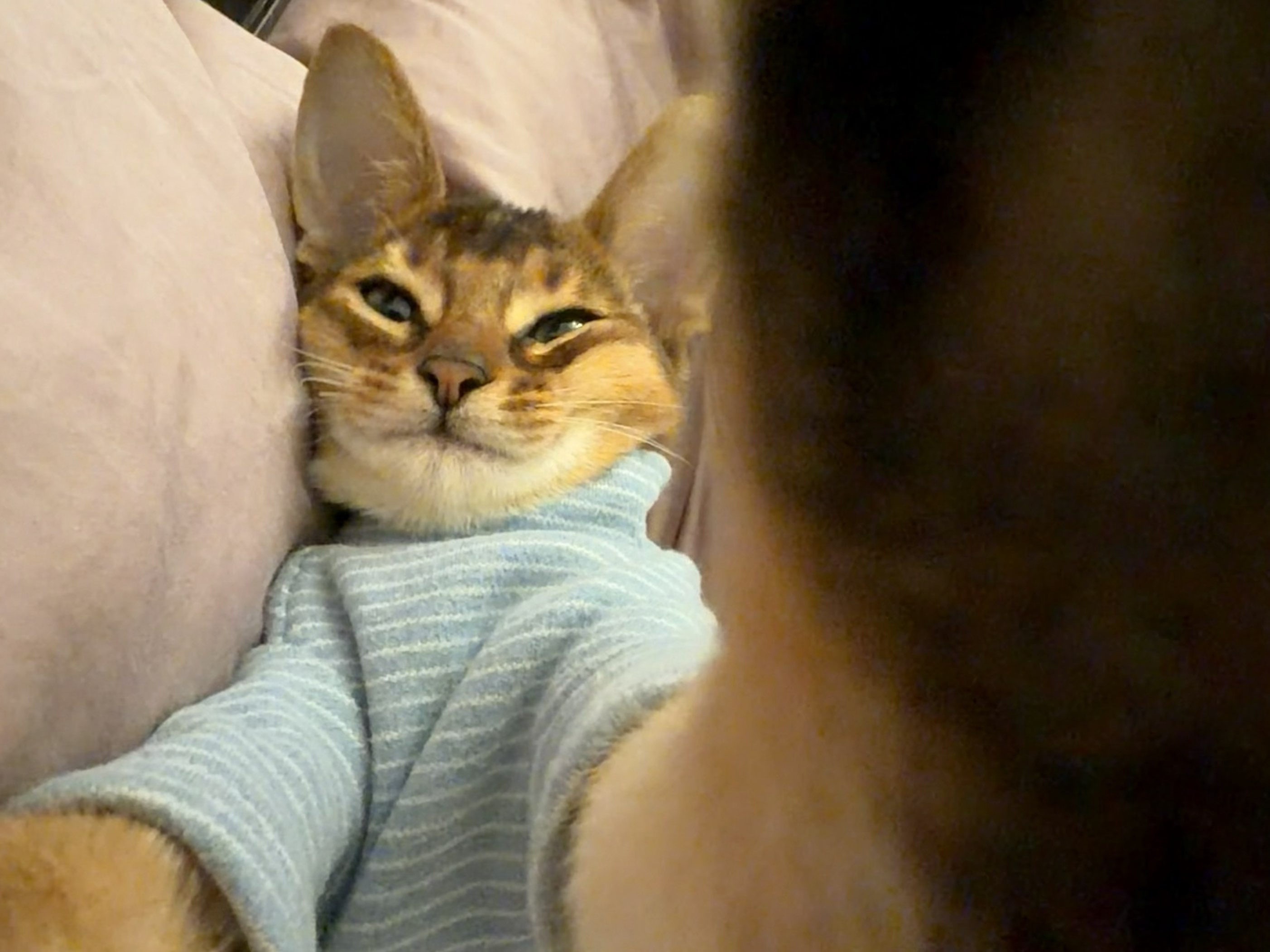 生活